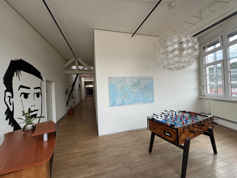 Heller und grosszügiger LOFT- Büro- oder Gewerberaum (6)