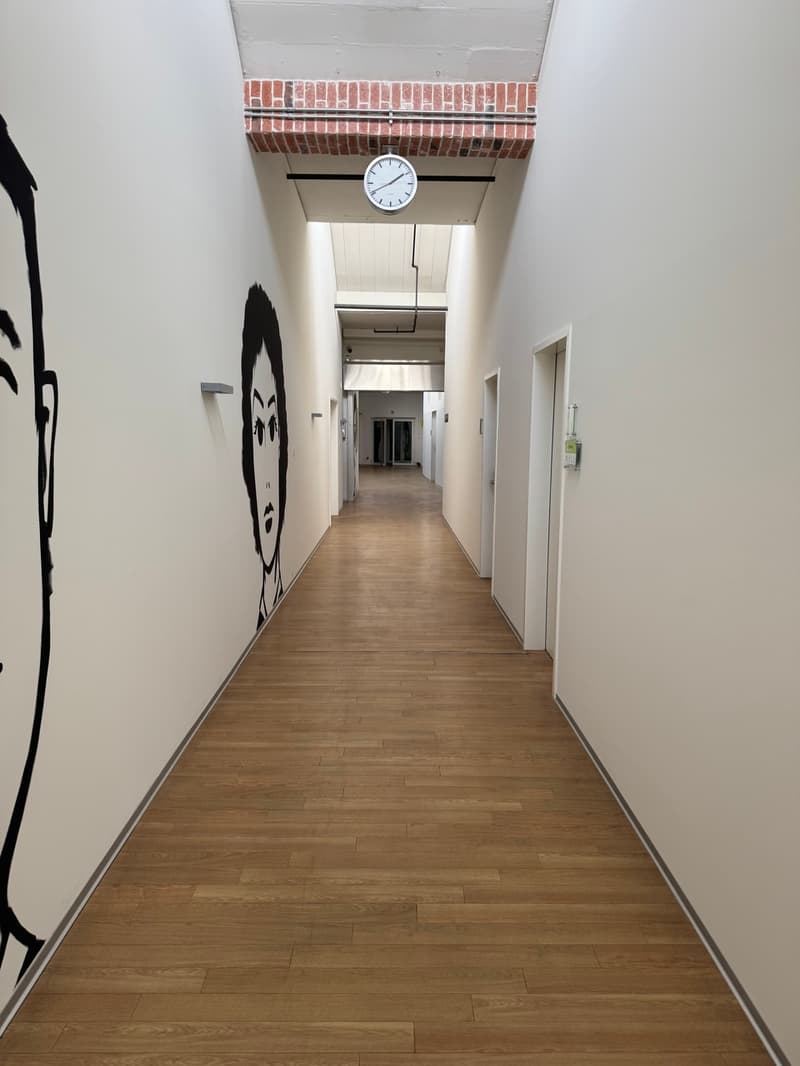 Heller und grosszügiger LOFT- Büro- oder Gewerberaum (7)
