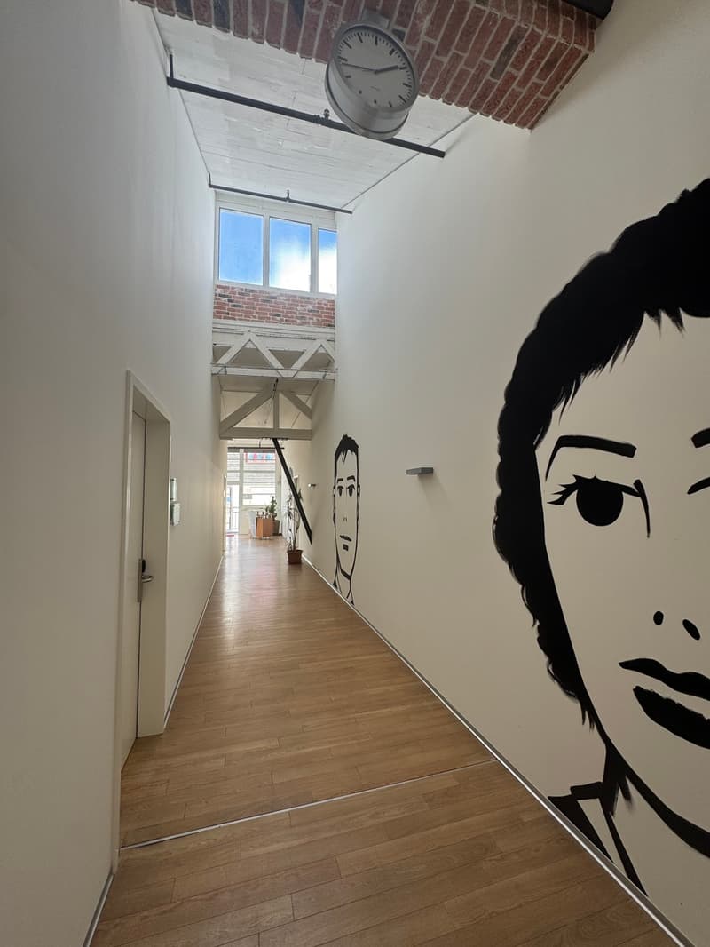 Heller und grosszügiger LOFT- Büro- oder Gewerberaum (5)