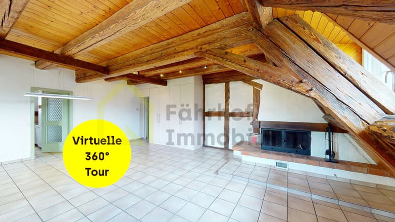 Grosse Maisonette-Wohnung mit Schlossfeeling (1)