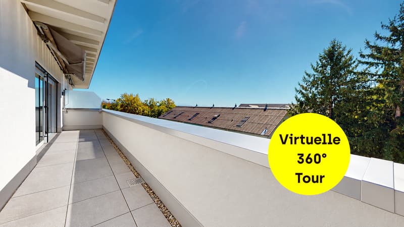 Stilvolle Attikawohnung mit sonniger Dachterrasse (1)