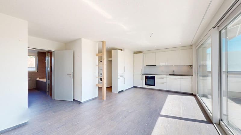 Stilvolle Attikawohnung mit sonniger Dachterrasse (5)