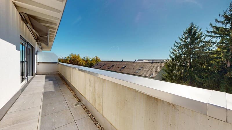 Stilvolle Attikawohnung mit sonniger Dachterrasse (10)