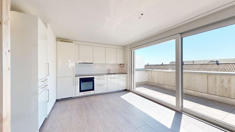 Stilvolle Attikawohnung mit sonniger Dachterrasse (8)