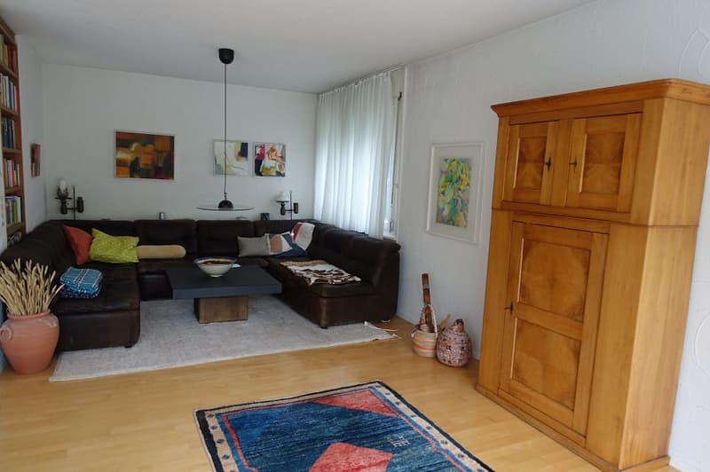 Casa unifamiliare di 5 locali a Schinznach – posizione tranquilla con bella vista (3)