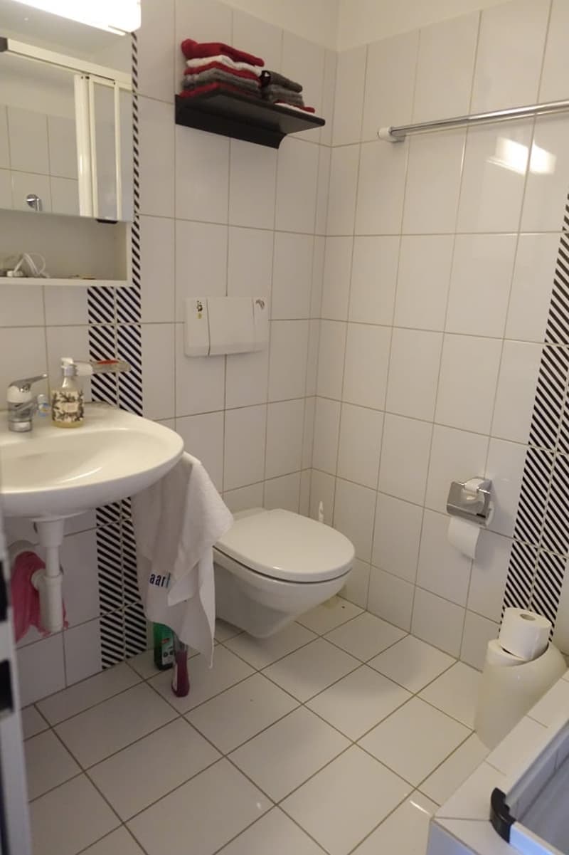 Charmante 4.5-Zimmer-Maisonette-Wohnung in Veltheim AG (9)