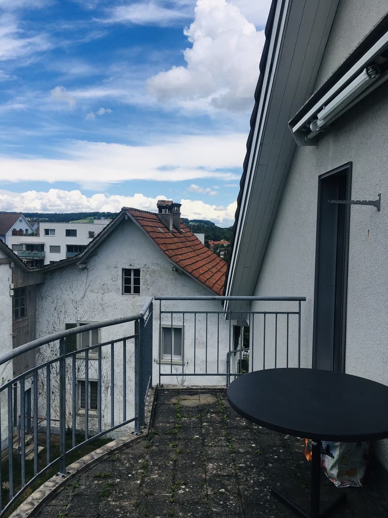 Charmant appartement mansardé avec cuisine neuve (9)