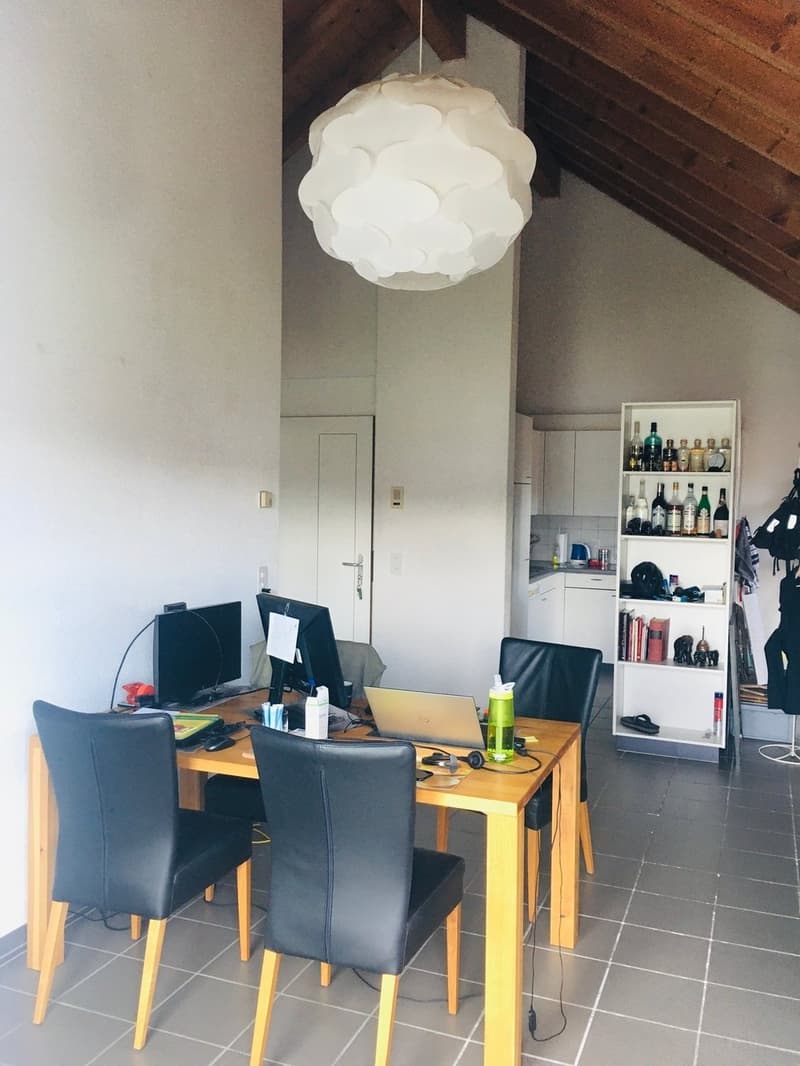 Charmant appartement mansardé avec cuisine neuve (3)