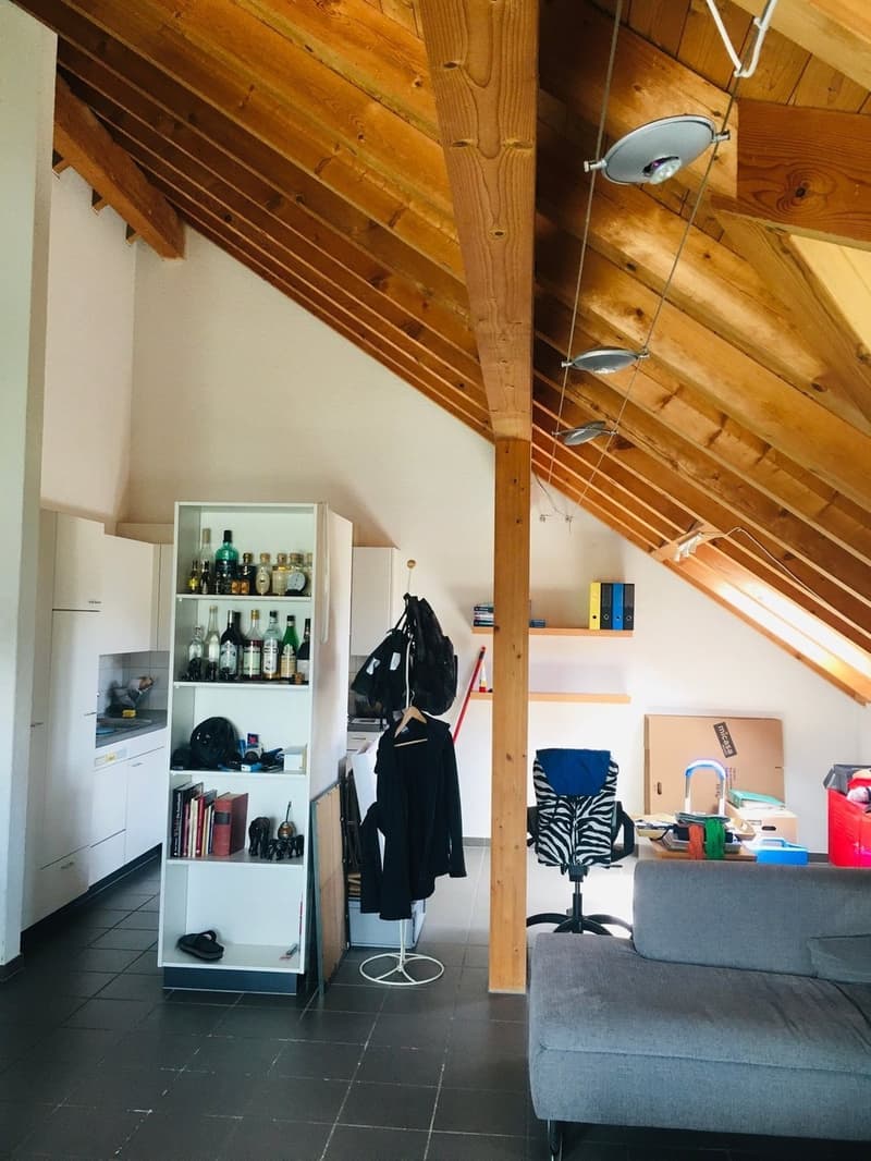 Charmant appartement mansardé avec cuisine neuve (2)