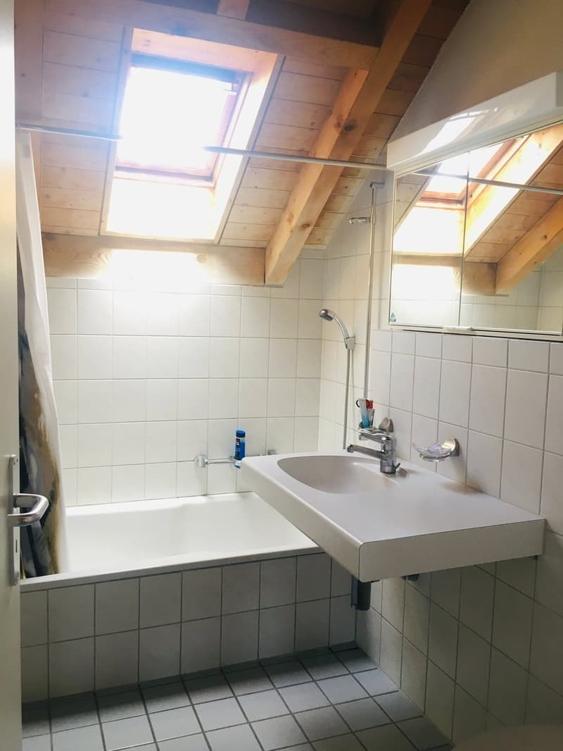Charmant appartement mansardé avec cuisine neuve (8)