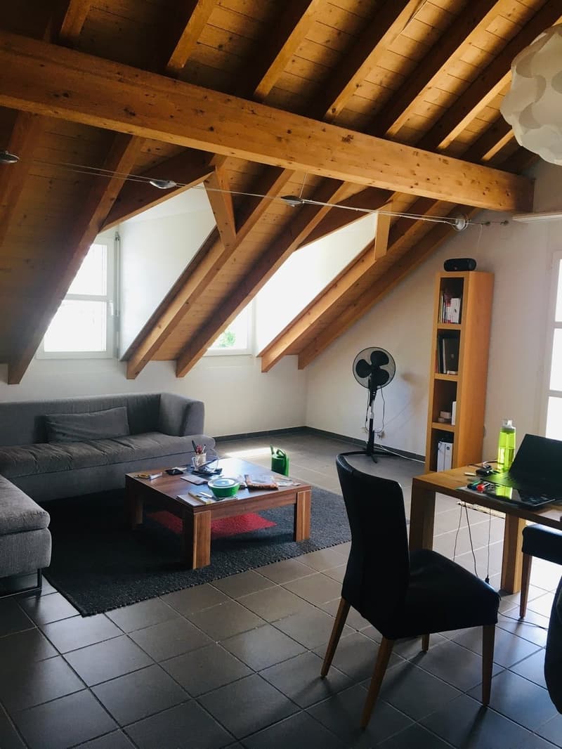 Charmant appartement mansardé avec cuisine neuve (4)