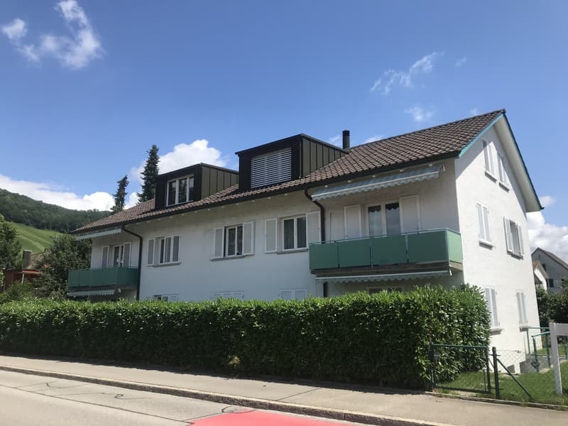 Charmante 1.5-Zimmer-Wohnung (3)