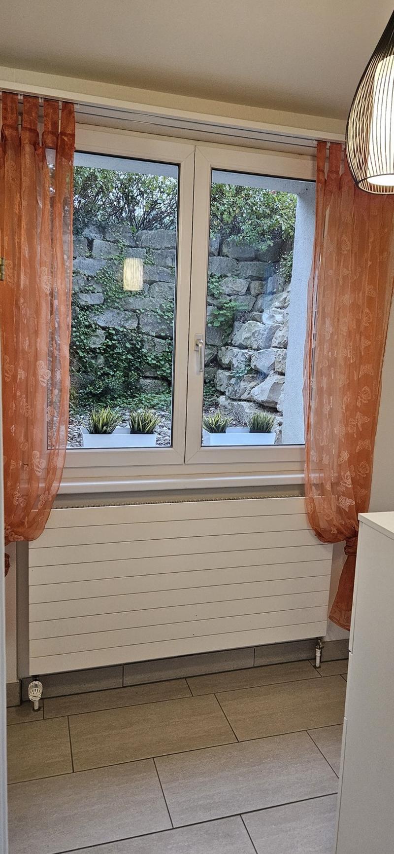 Charmante 1.5-Zimmer-Wohnung (8)