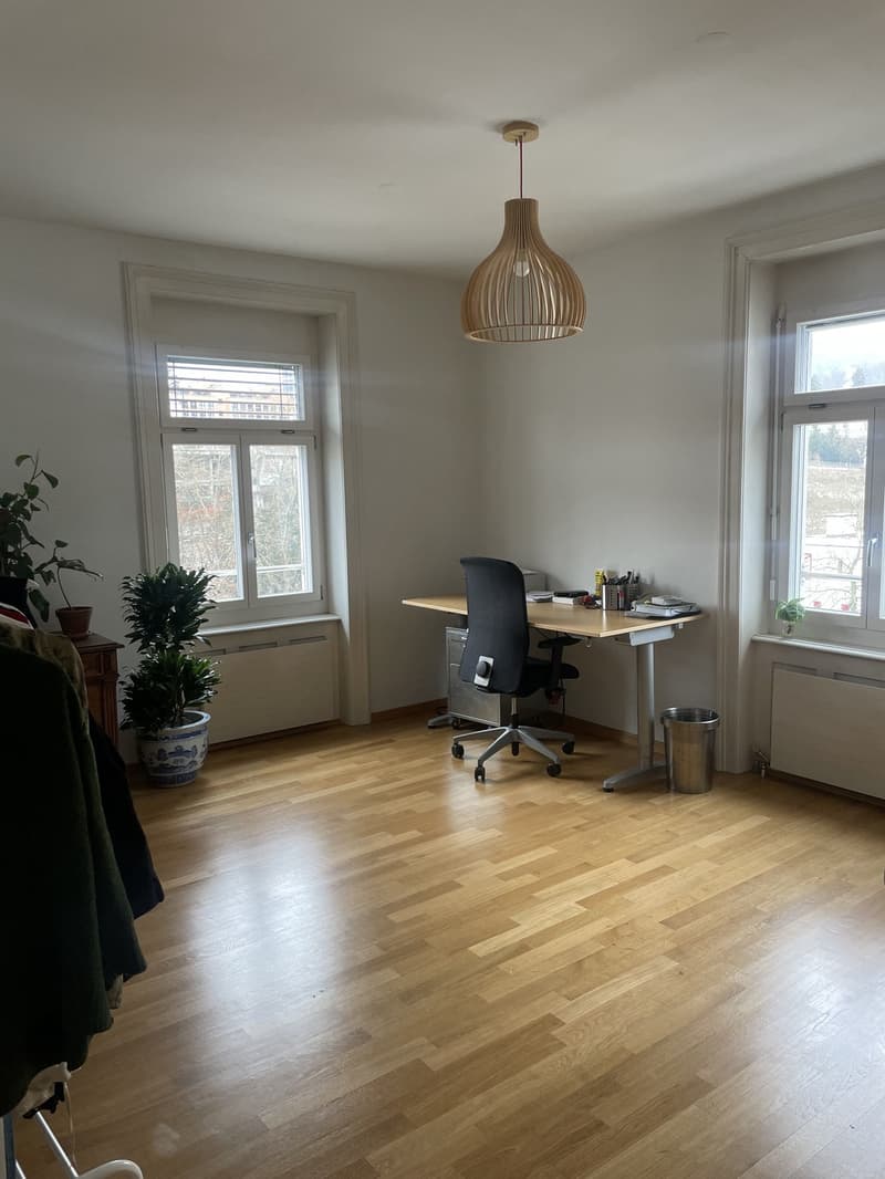 Appartement de charme dans un immeuble ancien recherche de nouveaux occupants (5)