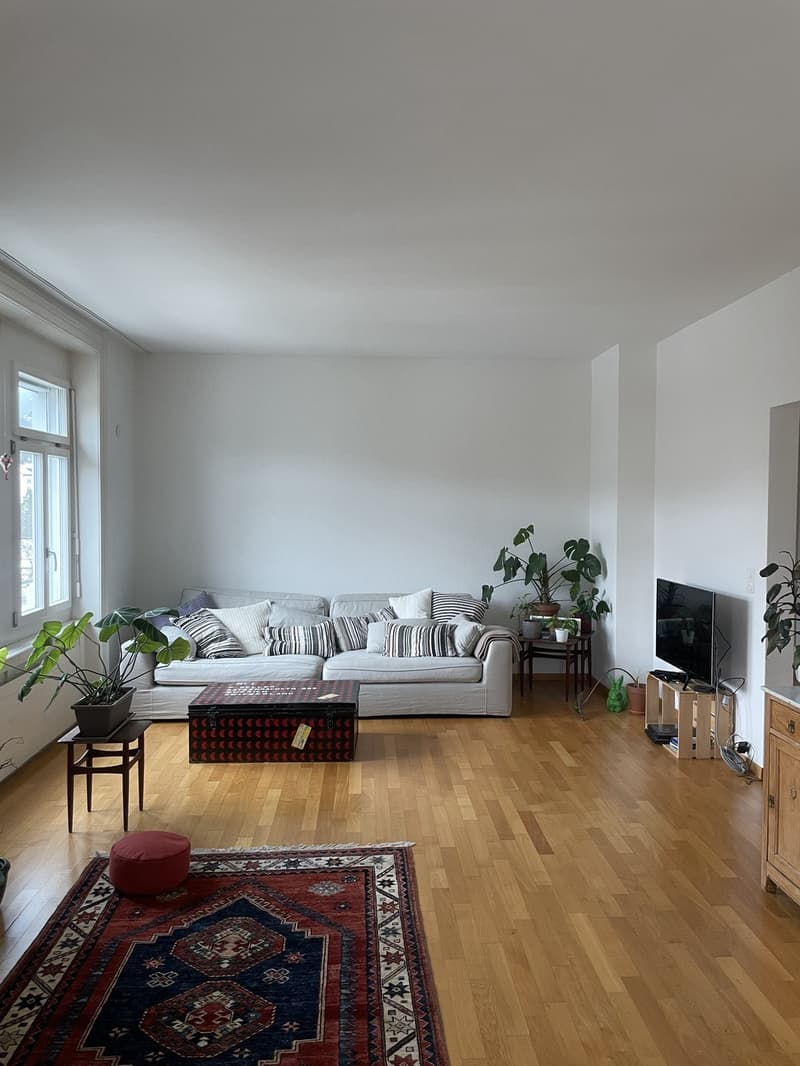 Appartement de charme dans un immeuble ancien recherche de nouveaux occupants (8)