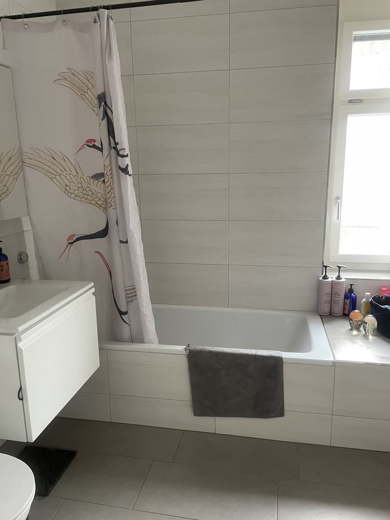 Appartement de charme dans un immeuble ancien recherche de nouveaux occupants (7)