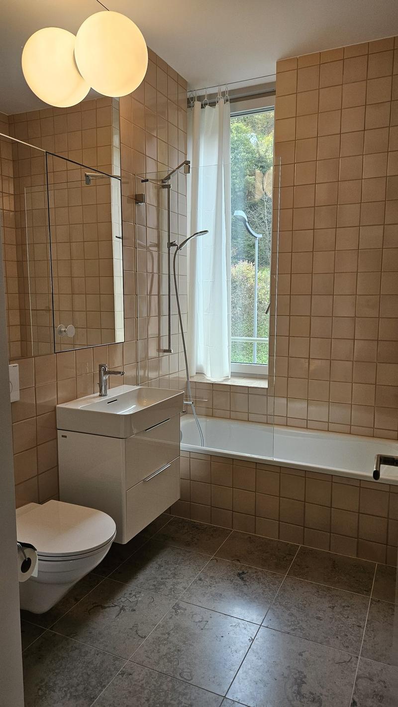 Traumhafte Wohnung in Ennetbaden (6)