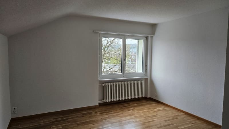 Wohnen in der Stadt Brugg AG (7)