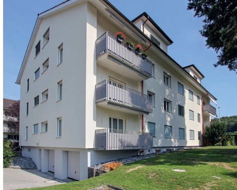Wohnen in der Stadt Brugg AG (1)
