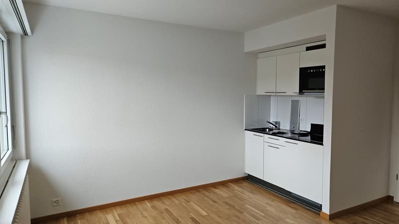 Wohnen in der Stadt Brugg AG (4)