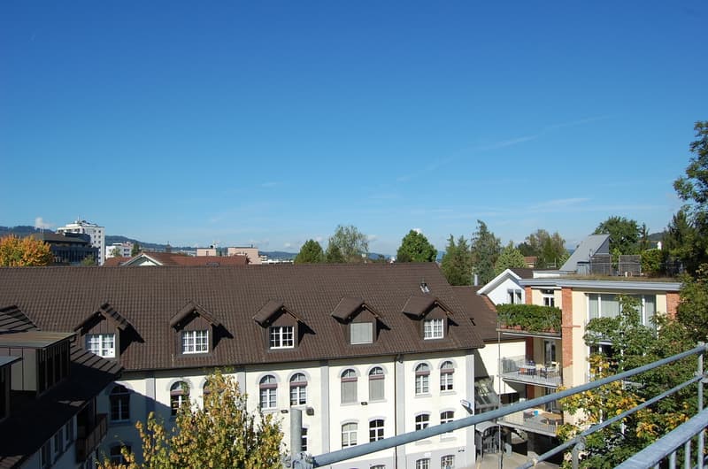 Residential and commercial building in a central location (3)