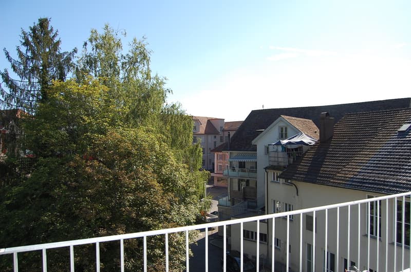 Residential and commercial building in a central location (5)