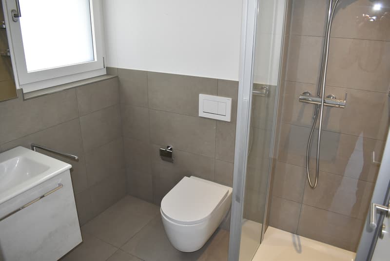 Attractive 4.5-room apartment with a view of Lake Hallwil (6)