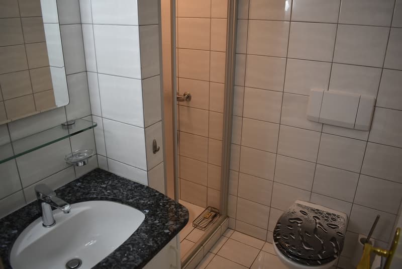Appartement 5.5 pièces avec garage double adjacent, situé au bord de la forêt (6)