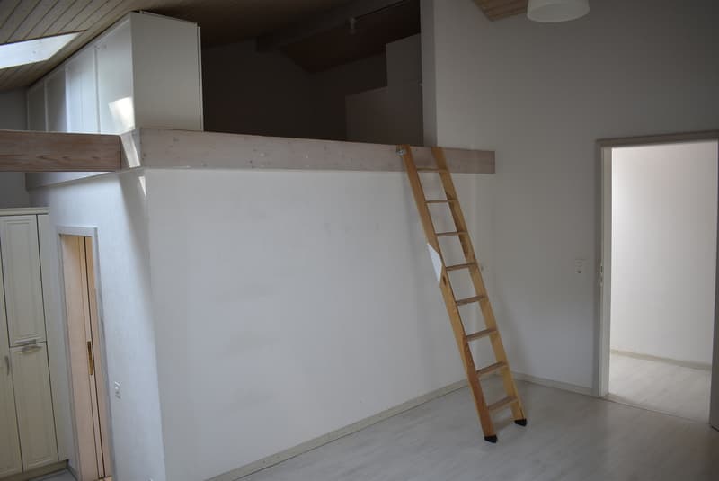 Appartement 5.5 pièces avec garage double adjacent, situé au bord de la forêt (9)