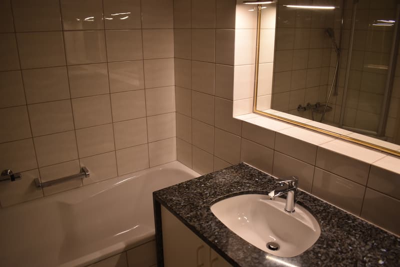 Appartement 5.5 pièces avec garage double adjacent, situé au bord de la forêt (7)