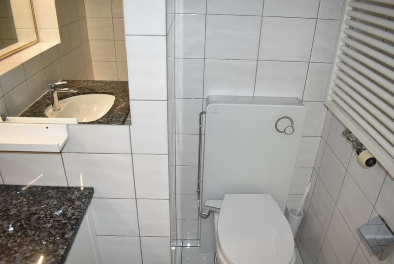 Appartement 5.5 pièces avec garage double adjacent, situé au bord de la forêt (8)