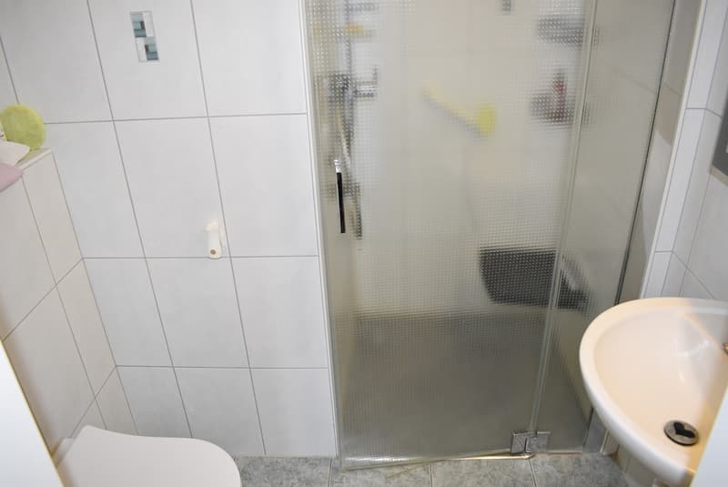 Sehr gepflegte 4½ Zimmerwohnung im obersten Stockwerk (6)