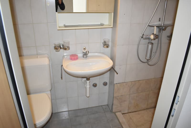 4½ Zimmer Familienwohnung an ruhiger und begehrter Lage (6)