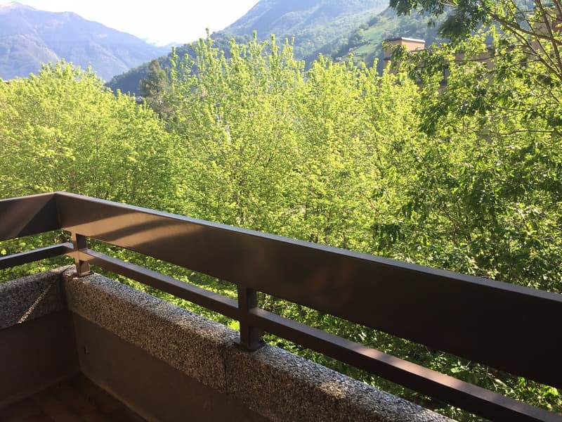 Bellissimo 1.5 nel verde, a Giubiasco (9)