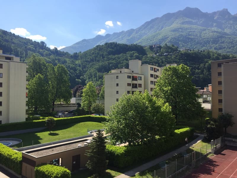 Bellissimo 1.5 nel verde, a Giubiasco (2)