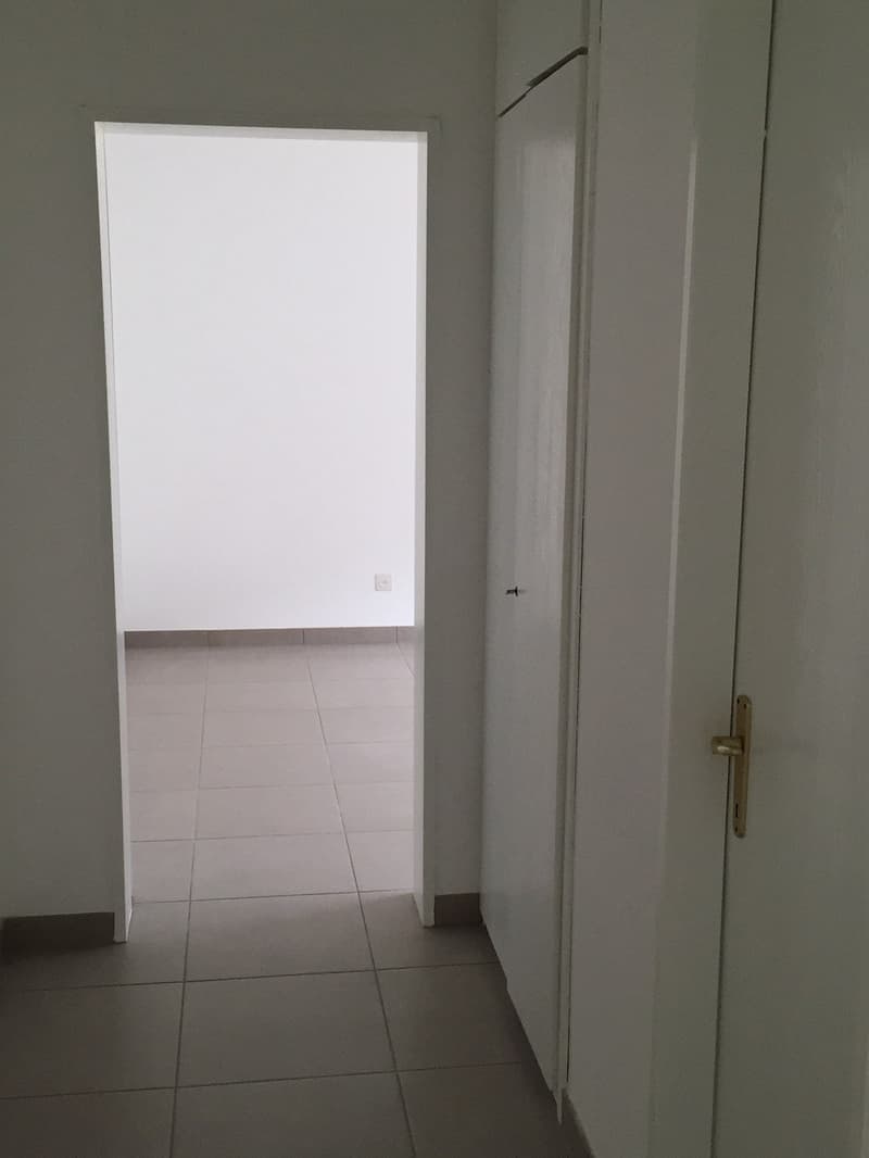 2.5 rinnovato a Giubiasco in zona tranquilla e verde (10)