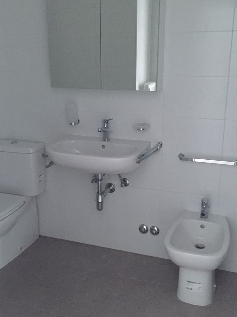 2.5 rinnovato a Giubiasco in zona tranquilla e verde (8)
