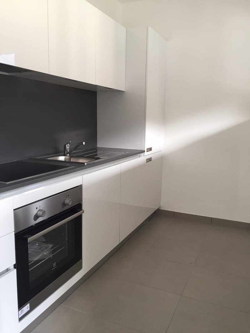 2.5 rinnovato a Giubiasco in zona tranquilla e verde (9)