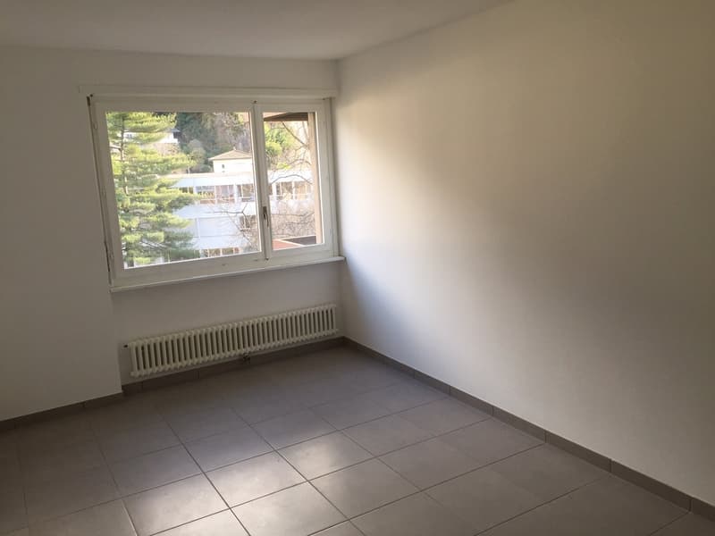 2.5 rinnovato a Giubiasco in zona tranquilla e verde (4)