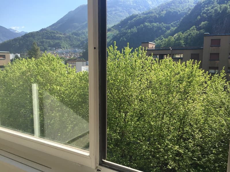 2.5 rinnovato a Giubiasco in zona tranquilla e verde (12)