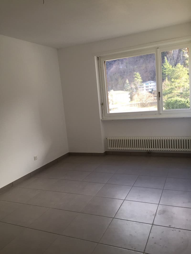 2.5 rinnovato a Giubiasco in zona tranquilla e verde (11)