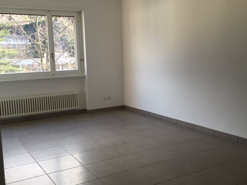 2.5 rinnovato a Giubiasco in zona tranquilla e verde (3)