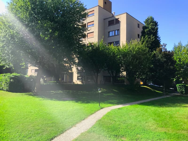 Spaziosissimo 4.5 in zona tranquilla di Giubiasco (5)