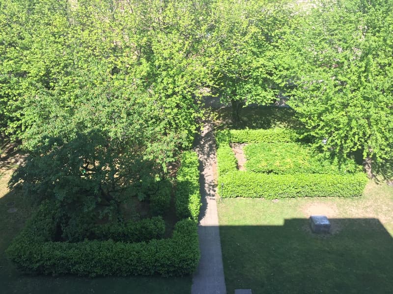 Appartement lumineux et charmant de 2,5 pièces dans un parc (3)
