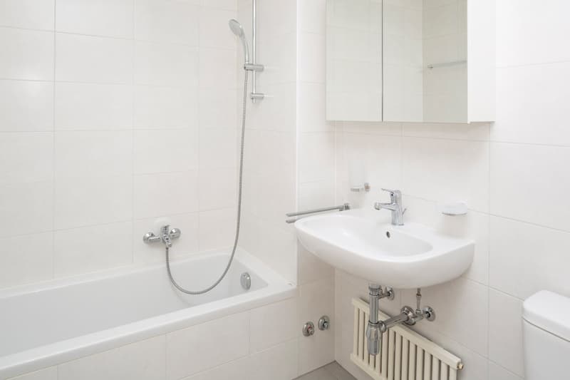 Appartement lumineux et charmant de 2,5 pièces dans un parc (6)