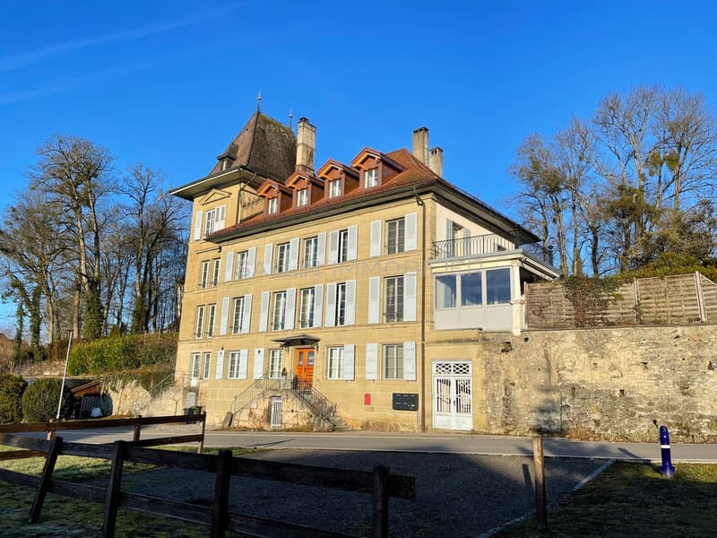 Magnifique appartement neuf  3½ pces en triplex dans le Château de VSG (1)