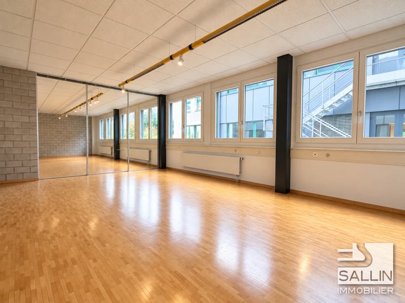 Surface administrative d'env. 270 m² avec 3 pl. ext. et 2 pl. int. (2)