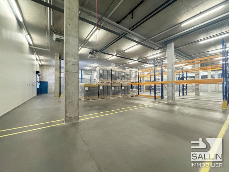 Lagerhalle von ca. 763 m², Ladeplatz mit Hebebühne (2)
