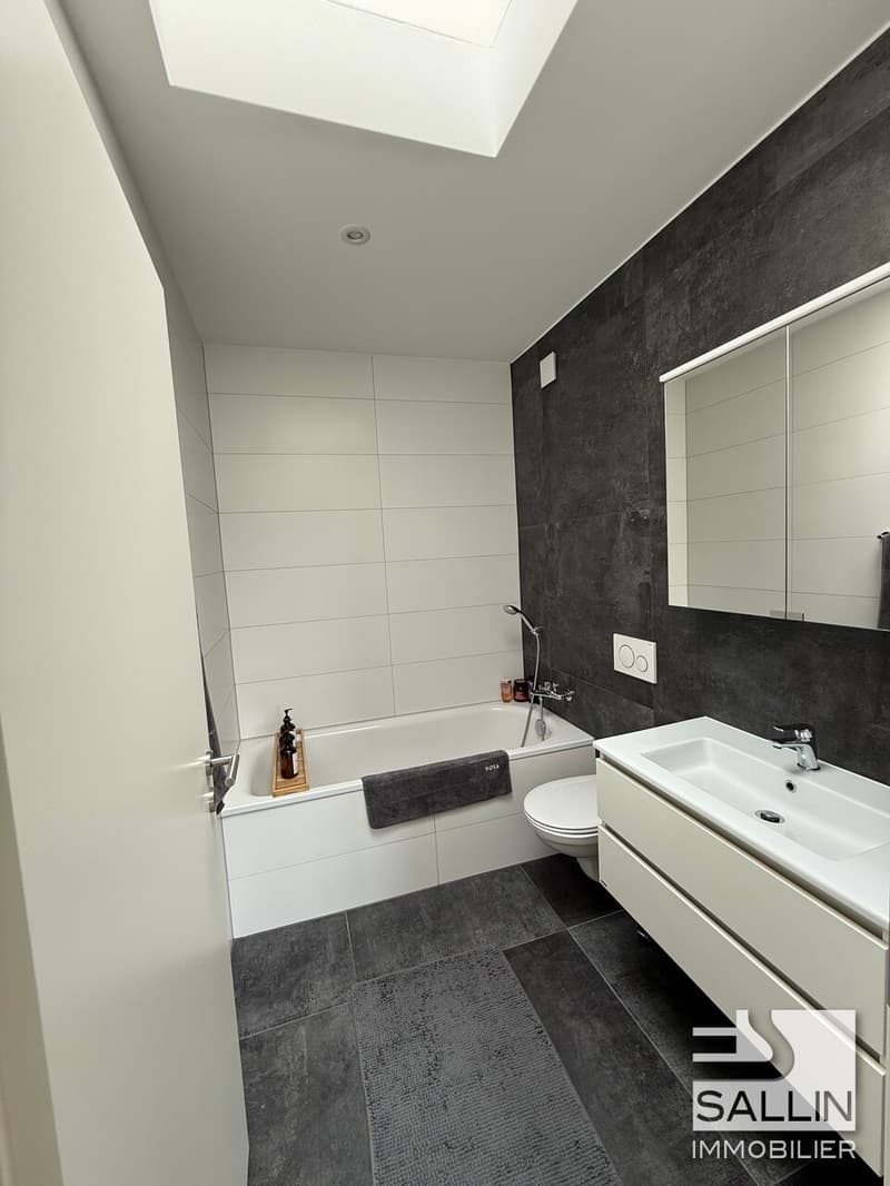 Geräumiges 3½-Zimmer-Attikawohnung (12)