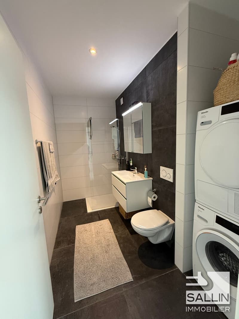Geräumiges 3½-Zimmer-Attikawohnung (13)